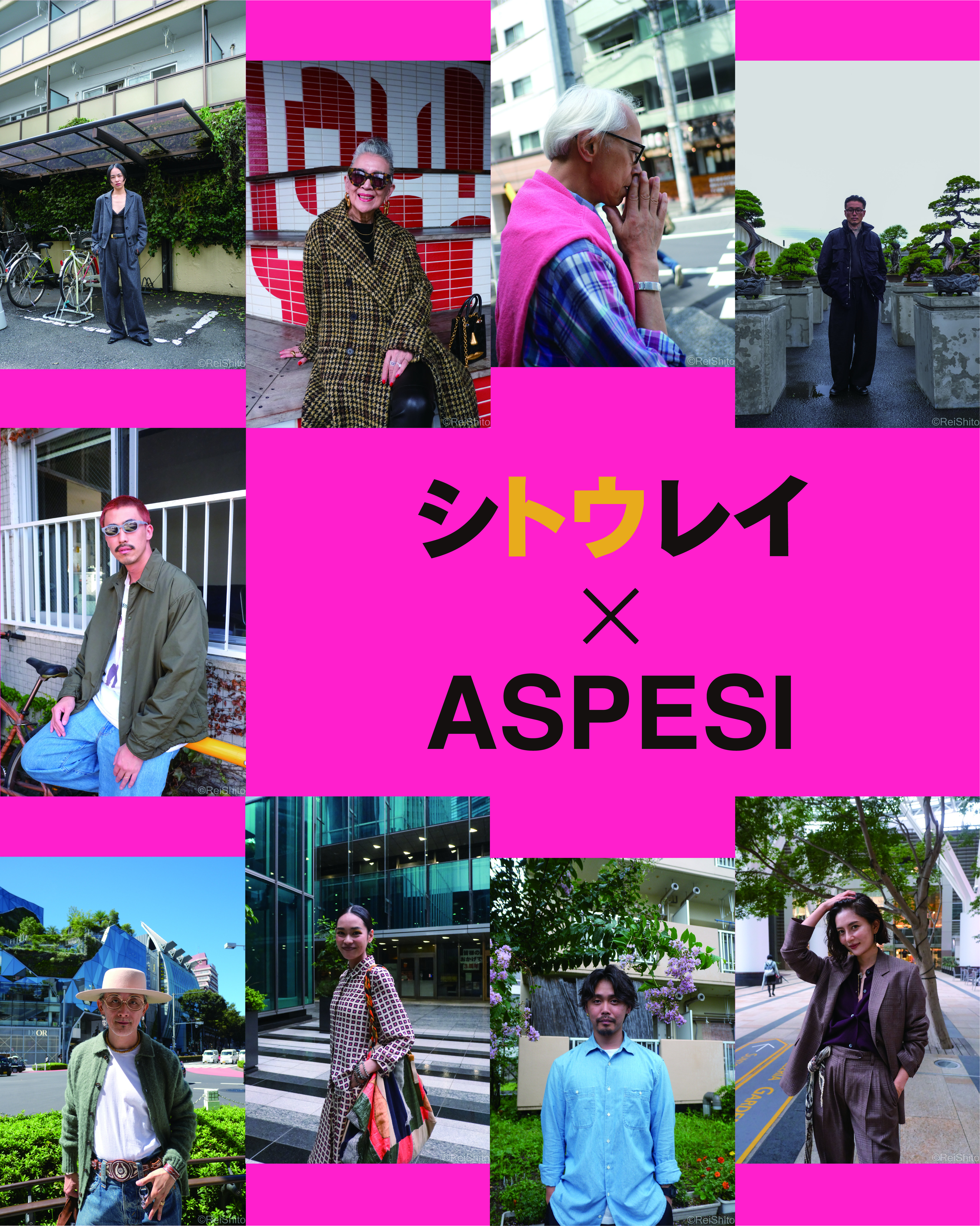シトウレイ × ASPESI 写真展コラージュ画像